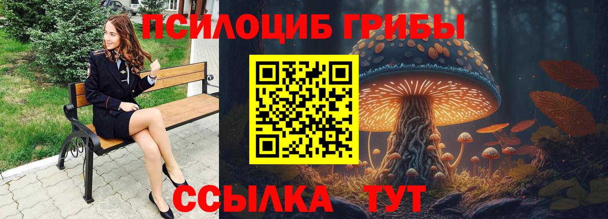 Псилоцибиновые грибы прущие грибы Саяногорск