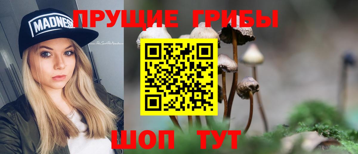 Галлюциногенные грибы GOLDEN TEACHER  Вход с VPN  что такое   Саяногорск 